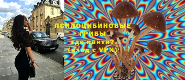 мет Вяземский
