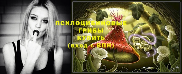 а пвп мука Верхний Тагил
